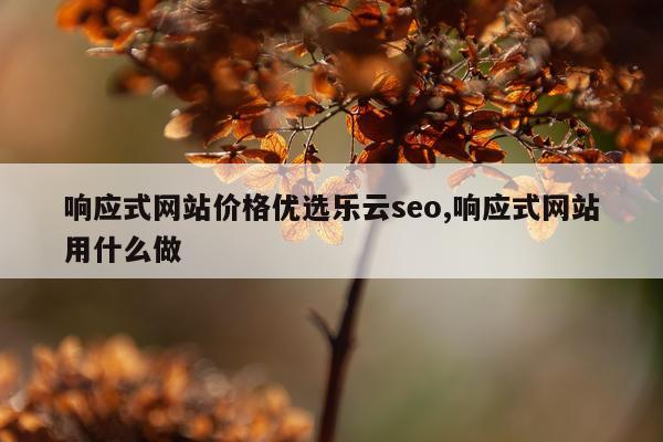 响应式网站价格优选乐云seo,响应式网站用什么做
