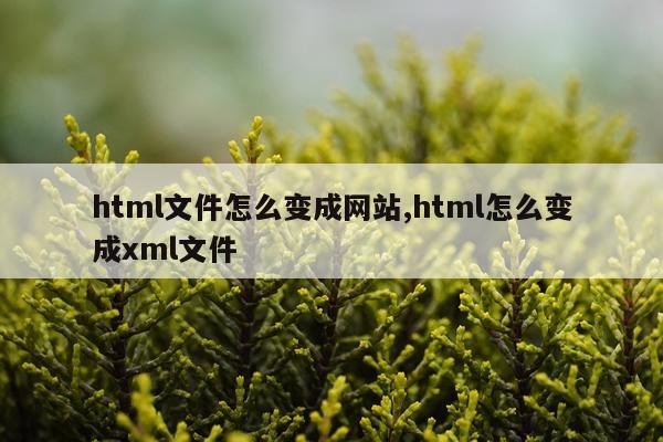 html文件怎么变成网站,html怎么变成xml文件