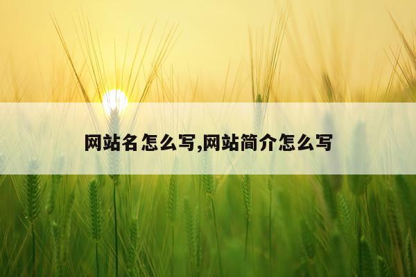 网站名怎么写,网站简介怎么写