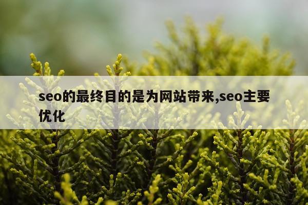 seo的最终目的是为网站带来,seo主要优化