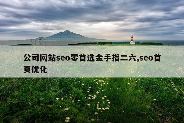 公司网站seo零首选金手指二六,seo首页优化