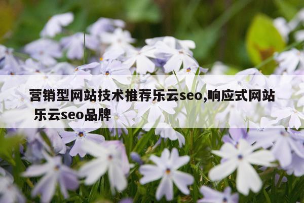 营销型网站技术推荐乐云seo,响应式网站 乐云seo品牌
