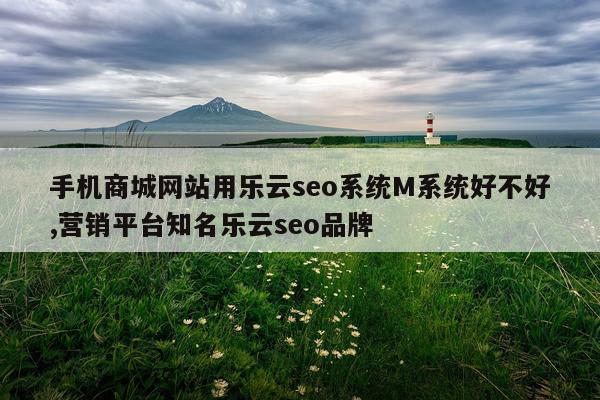 手机商城网站用乐云seo系统M系统好不好,营销平台知名乐云seo品牌