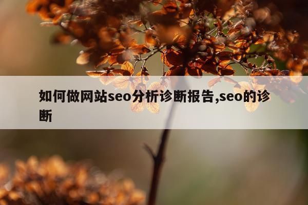 如何做网站seo分析诊断报告,seo的诊断