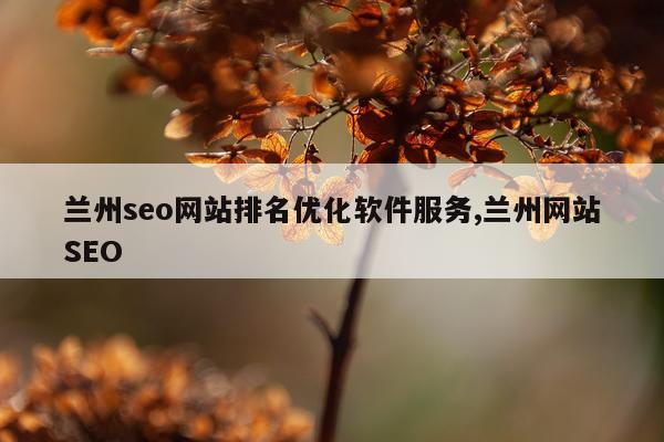 兰州seo网站排名优化软件服务,兰州网站SEO
