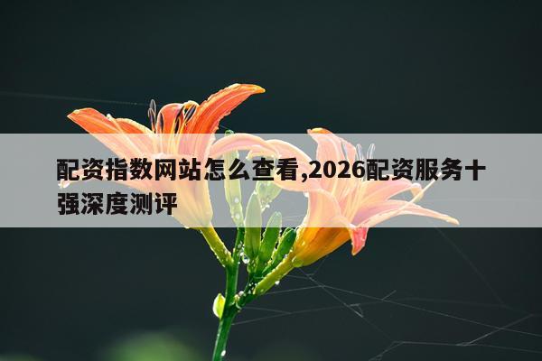 配资指数网站怎么查看,2026配资服务十强深度测评