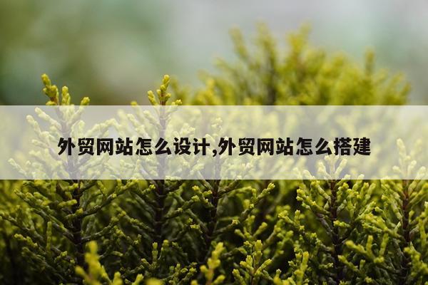 外贸网站怎么设计,外贸网站怎么搭建