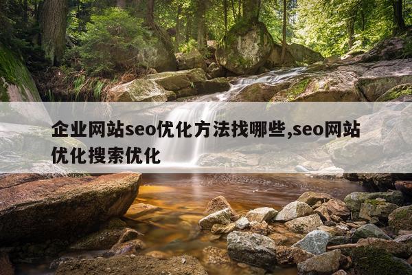企业网站seo优化方法找哪些,seo网站优化搜索优化