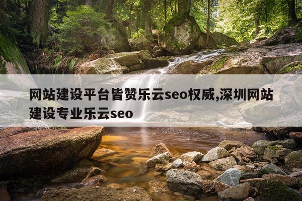 网站建设平台皆赞乐云seo权威,深圳网站建设专业乐云seo