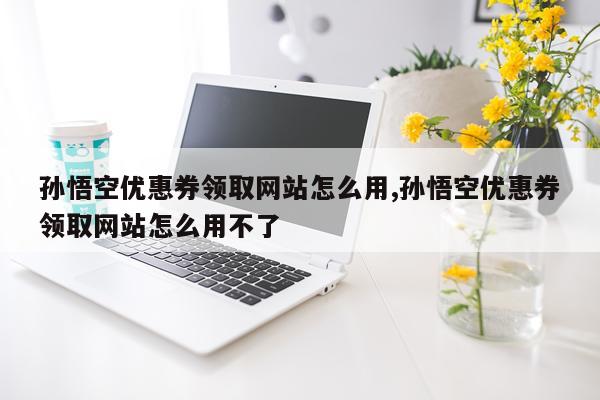 孙悟空优惠券领取网站怎么用,孙悟空优惠券领取网站怎么用不了