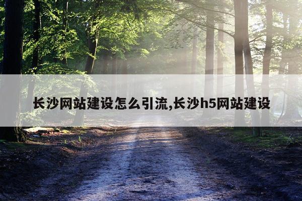 长沙网站建设怎么引流,长沙h5网站建设