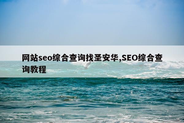 网站seo综合查询找圣安华,SEO综合查询教程