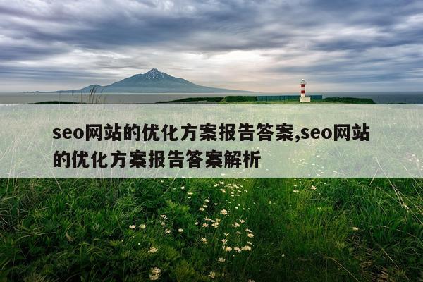 seo网站的优化方案报告答案,seo网站的优化方案报告答案解析