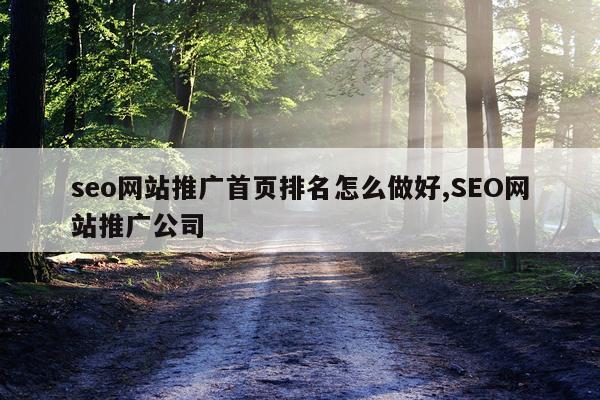seo网站推广首页排名怎么做好,SEO网站推广公司