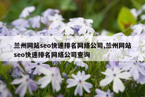 兰州网站seo快速排名网络公司,兰州网站seo快速排名网络公司查询