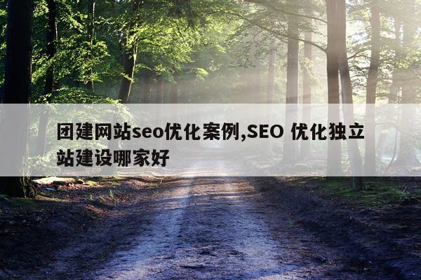 团建网站seo优化案例,SEO 优化独立站建设哪家好