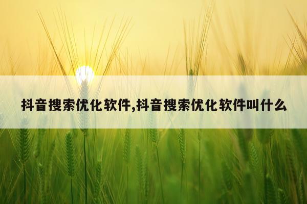 抖音搜索优化软件,抖音搜索优化软件叫什么