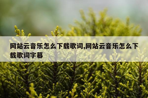 网站云音乐怎么下载歌词,网站云音乐怎么下载歌词字幕