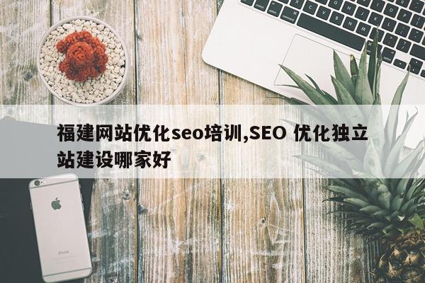 福建网站优化seo培训,SEO 优化独立站建设哪家好