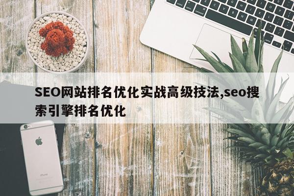 SEO网站排名优化实战高级技法,seo搜索引擎排名优化