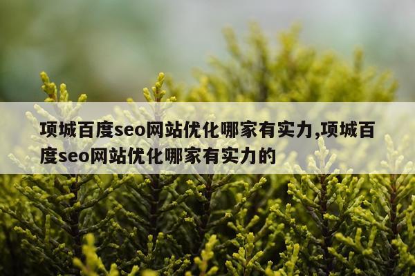 项城百度seo网站优化哪家有实力,项城百度seo网站优化哪家有实力的