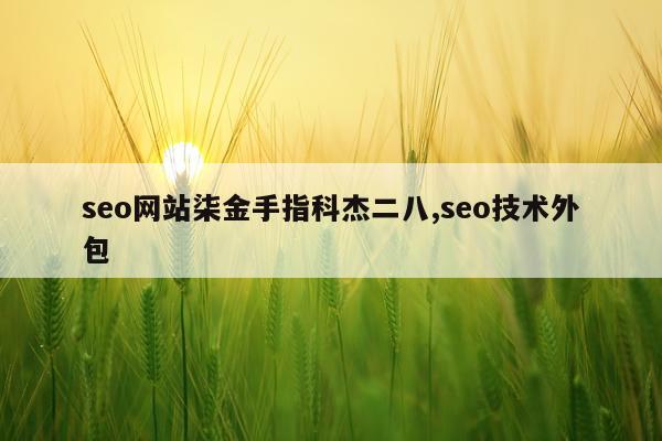 seo网站柒金手指科杰二八,seo技术外包