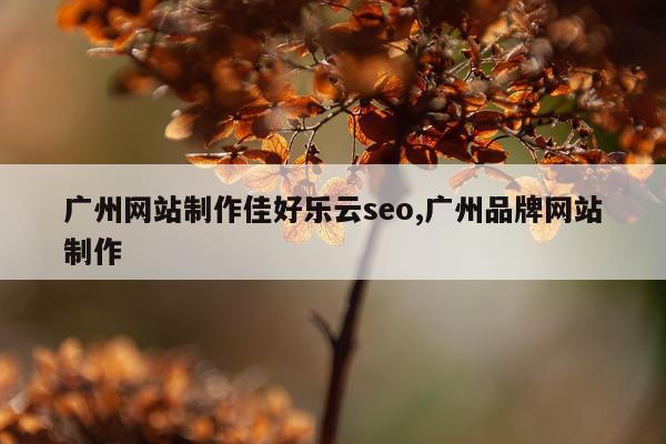 广州网站制作佳好乐云seo,广州品牌网站制作