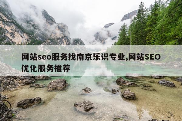 网站seo服务找南京乐识专业,网站SEO优化服务推荐