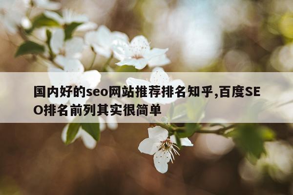 国内好的seo网站推荐排名知乎,百度SEO排名前列其实很简单