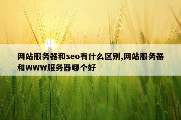 网站服务器和seo有什么区别,网站服务器和WWW服务器哪个好