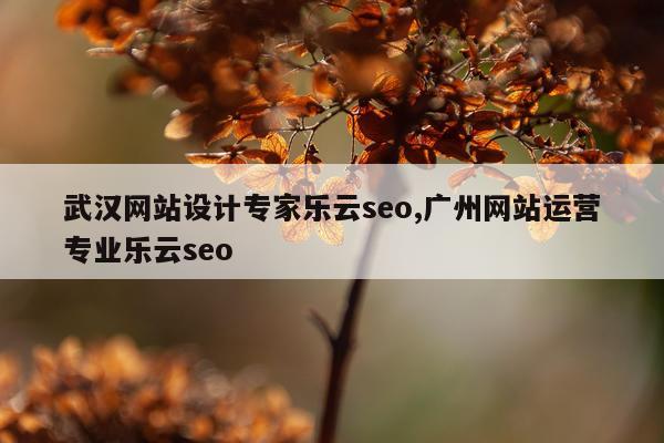 武汉网站设计专家乐云seo,广州网站运营专业乐云seo
