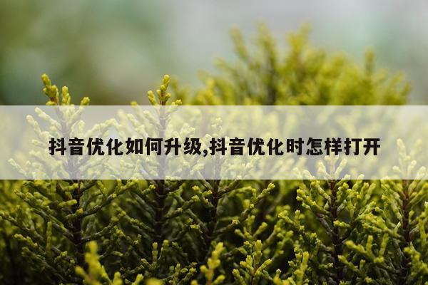 抖音优化如何升级,抖音优化时怎样打开