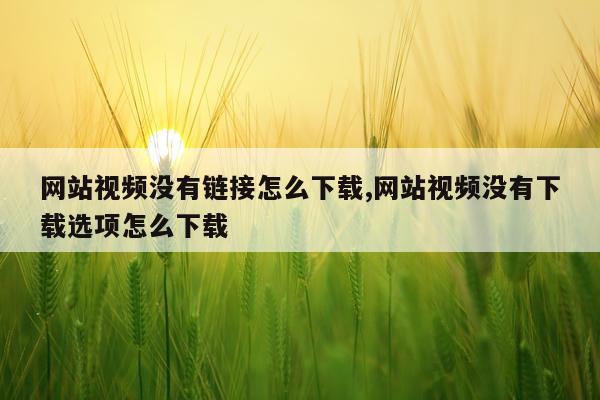 网站视频没有链接怎么下载,网站视频没有下载选项怎么下载