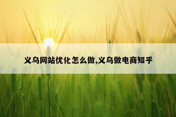 义乌网站优化怎么做,义乌做电商知乎