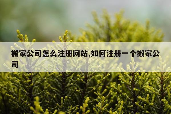 搬家公司怎么注册网站,如何注册一个搬家公司