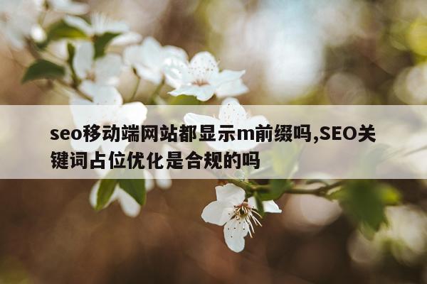 seo移动端网站都显示m前缀吗,SEO关键词占位优化是合规的吗