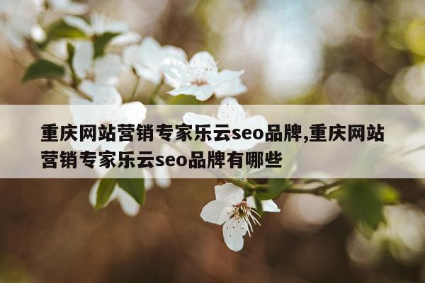 重庆网站营销专家乐云seo品牌,重庆网站营销专家乐云seo品牌有哪些