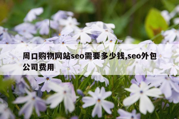 周口购物网站seo需要多少钱,seo外包公司费用