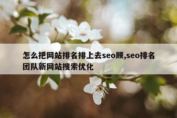 怎么把网站排名排上去seo顾,seo排名团队新网站搜索优化