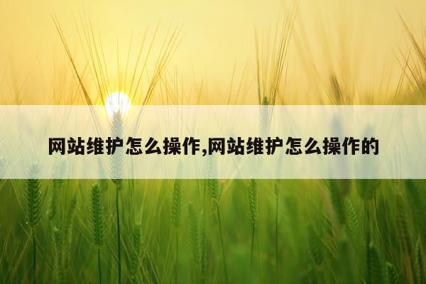 网站维护怎么操作,网站维护怎么操作的
