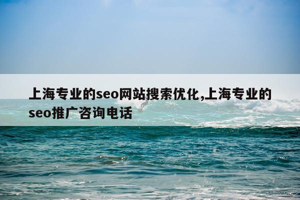 上海专业的seo网站搜索优化,上海专业的seo推广咨询电话