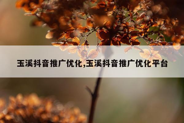 玉溪抖音推广优化,玉溪抖音推广优化平台