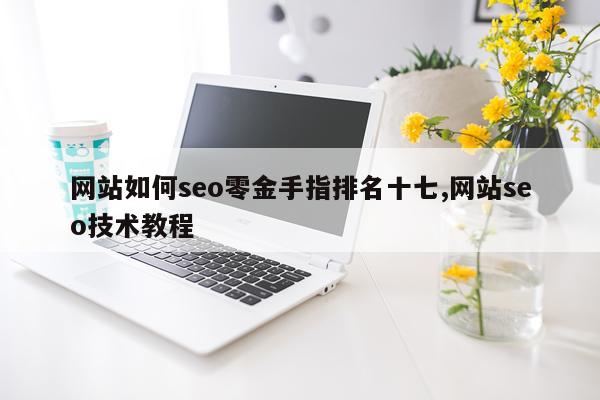 网站如何seo零金手指排名十七,网站seo技术教程