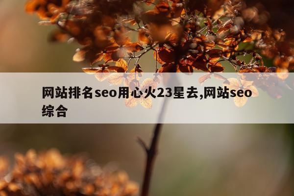 网站排名seo用心火23星去,网站seo综合