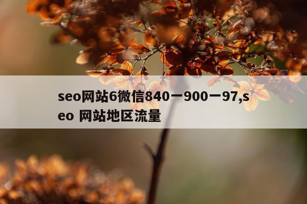 seo网站6微信840一900一97,seo 网站地区流量