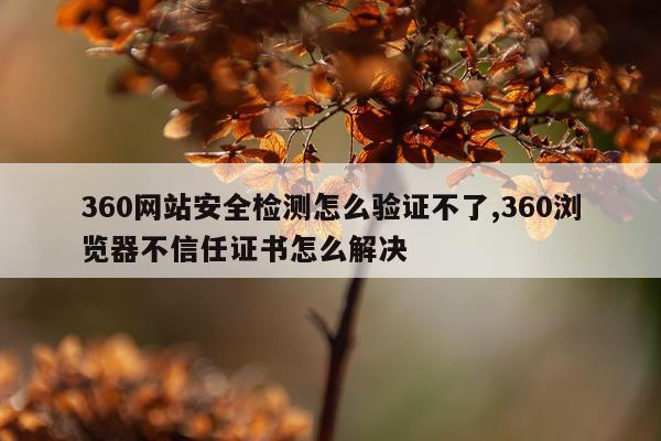 360网站安全检测怎么验证不了,360浏览器不信任证书怎么解决
