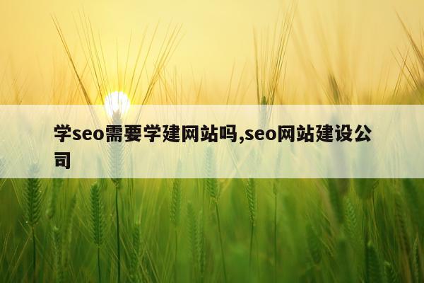 学seo需要学建网站吗,seo网站建设公司