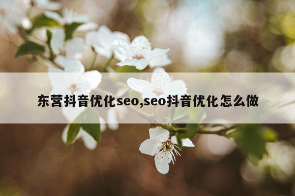 东营抖音优化seo,seo抖音优化怎么做