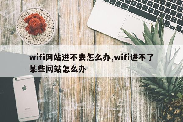 wifi网站进不去怎么办,wifi进不了某些网站怎么办