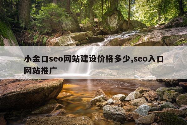 小金口seo网站建设价格多少,seo入口网站推广